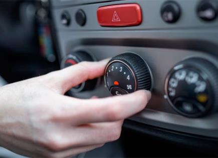 Descubre el secreto del mini refrigerador en tu auto