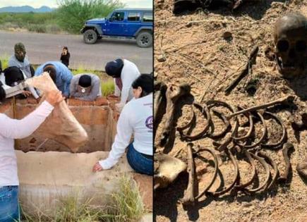 Rescate de restos óseos en Sonora por Madres Buscadoras