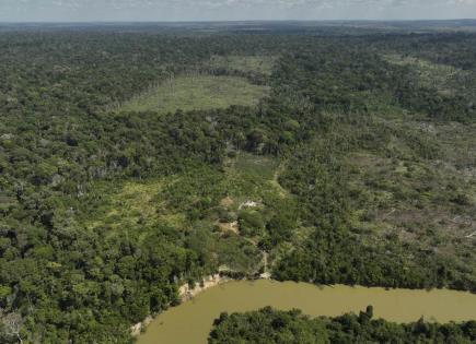 Culpables por daños ambientales en la Amazonia