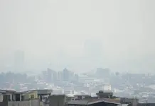 Impacto de los Incendios Forestales en Quito y Ecuador