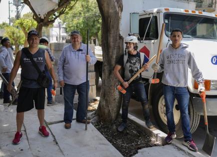 El Ejército de Árboles y su Misión Ambiental