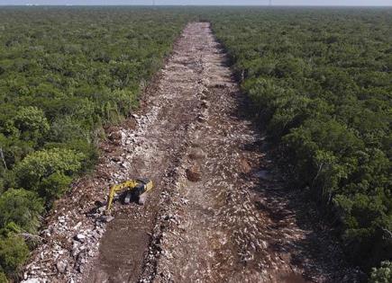 Inician los recorridos en la polémica ruta del Tren Maya