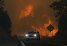 Unión de Artistas para Beneficencia en NY y LA