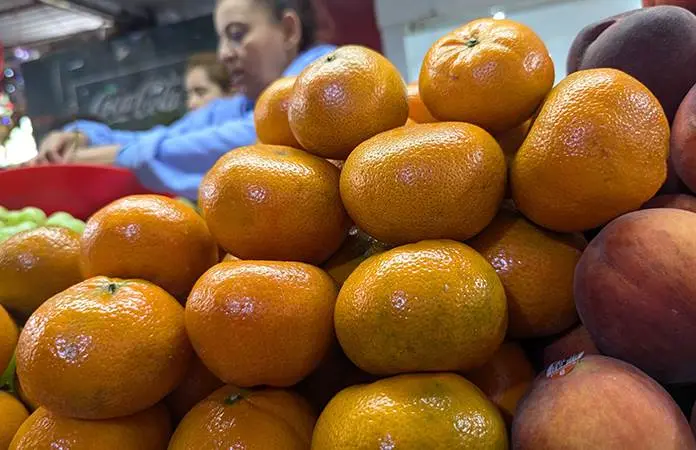 Alimentos de temporada en noviembre 2025: ¡Descubre sus beneficios!