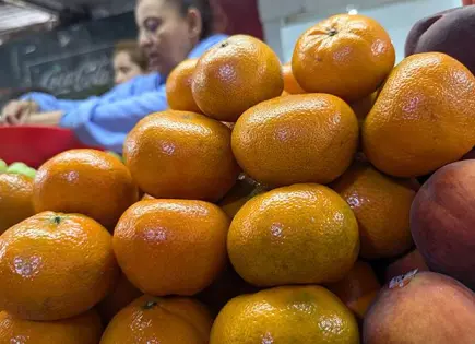 Alimentos de temporada en noviembre 2025: ¡Descubre sus beneficios!