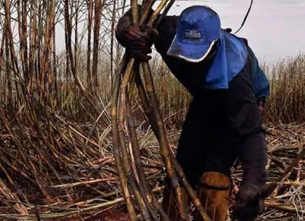 Exportaciones de azúcar a Estados Unidos disminuyen por medidas arancelarias