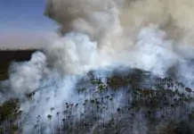 Sequía y devastadores incendios en Brasil Sequía y devastadores incendios en Brasil
