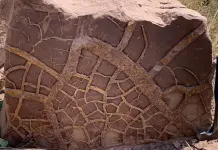 El impacto del fenómeno de El Niño en la extinción masiva de la Tierra El impacto del fenómeno de El Niño en la extinción masiva de la Tierra