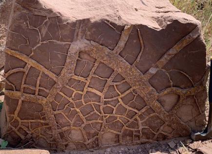 El impacto del fenómeno de El Niño en la extinción masiva de la Tierra