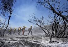 Incendios Forestales en el Sur de California