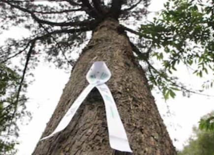 Alcaldía Tlalpan: Ciudad Árbol del Mundo por Tercer Año Consecutivo