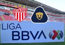 Pumas y Necaxa se enfrentan en la jornada 7 del Apertura 2024