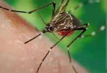 Le dijeron que su hijo ten&iacute;a dengue, muri&oacute; y cambiaron la causa en el acta