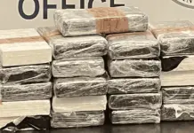 Operativos de decomiso de coca&iacute;na en frontera