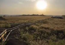 Conflicto entre Ucrania y Rusia: Últimos acontecimientos