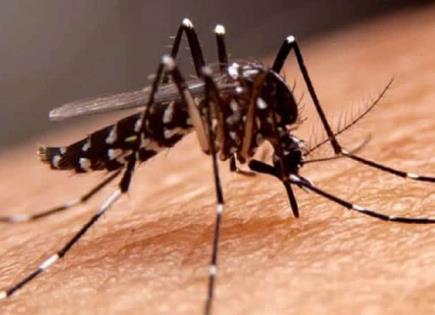 El dengue  se vuelve  más mortal