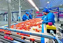 Impacto de la volatilidad en las peque&ntilde;as y medianas empresas