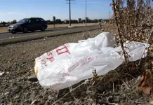 Prohibición de bolsas de plástico en California: Impacto ambiental y reciclaje Prohibición de bolsas de plástico en California: Impacto ambiental y reciclaje