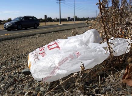 Prohibición de bolsas de plástico en California: Impacto ambiental y reciclaje