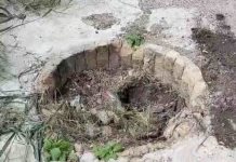 Descubrimiento de un Nuevo Campo de Exterminio en Río Bravo, Tamaulipas