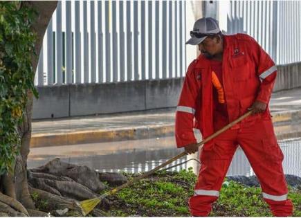 Lluvia enmontó áreas verdes