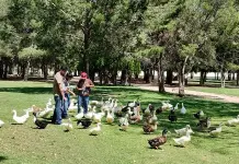 Áreas de los Tangamanga serían reconocidas como zoológicos Áreas de los Tangamanga serían reconocidas como zoológicos