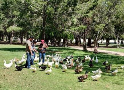 Arrojan comida chatarra a aves del Tangamanga