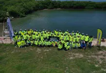 Limpian manglar en Yucatán para promover la sostenibilidad
