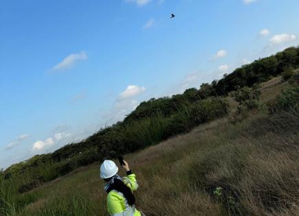 Cemex alza el vuelo hacia la sostenibilidad y la conservación de aves en México