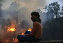 Incendio Forestal en Quito: Actualización y Acciones de Emergencia Incendio Forestal en Quito: Actualización y Acciones de Emergencia