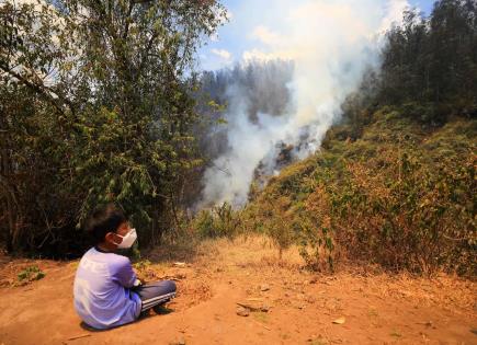 Incendios Forestales Arrasan Ecuador