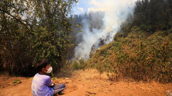 Incendios Forestales Arrasan Ecuador