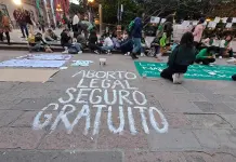 Omisiones institucionales continúan costando vidas: Marea Verde Omisiones institucionales continúan costando vidas: Marea Verde