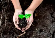 Importancia de la equidad de género en la economía verde