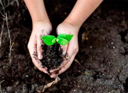 Importancia de la equidad de género en la economía verde