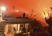 Tragedia en Grecia: Incendio forestal cobra dos vidas