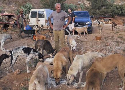 Historia de Hussein Hamza: Cuidador de Mascotas en Líbano