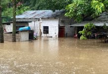 Impacto de las lluvias y desbordamientos en Oaxaca