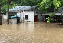 Impacto de las lluvias y desbordamientos en Oaxaca