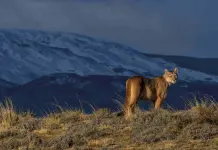 Reserva Natural de Cemex impulsa conciencia ambiental en la FILMTY 2024