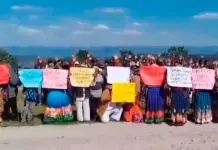 Comunidad wix&aacute;rika denuncia desaparici&oacute;n de 4 de sus integrantes