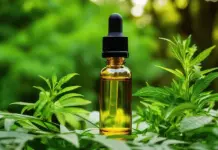 Estudio cient&iacute;fico sobre el aceite de cannabis y la hipertensi&oacute;n