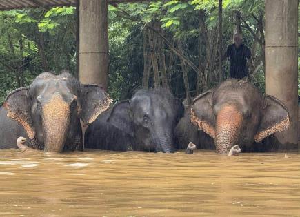 Emergencia por Inundaciones en Chiang Mai, Tailandia