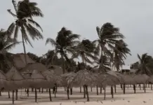 Cancelación de vuelos y refugios temporales por Huracán Milton Cancelación de vuelos y refugios temporales por Huracán Milton