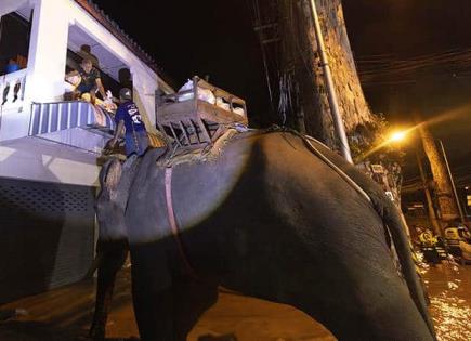 Defiende la FEMA su respuesta ante Helene