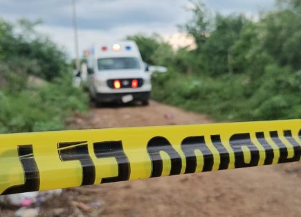 Madres Buscadoras hallan 8 cuerpos sepultados en predio en Sonora