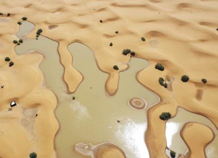 Impacto de las lluvias en el desierto del Sahara