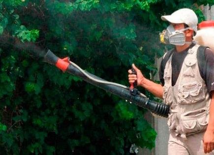 Rebasa Valles los 300 casos de dengue