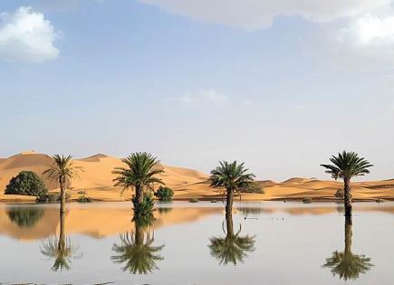 Lluvias encharcan el Sahara