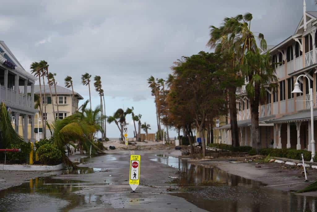 imagen carrusel